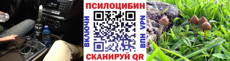 Псилоцибиновые грибы Psilocybe  Артёмовск 